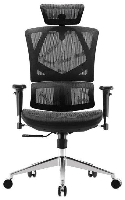 Офисное кресло Sihoo M90C-401, черный купить,function inputValueFn(){if((0,signal2.mK)(node),node.value===REQUIRED_UNSET_VALUE)throw new root_effect_scheduler.buA(-950,null);return node.value}