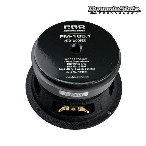 Эстрадная акустика для автомобиля Dynamic State PM-165.1 Pro Series купить,0