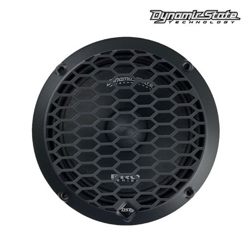 Эстрадная акустика для автомобиля Dynamic State PM-165.1 Pro Series купить,0