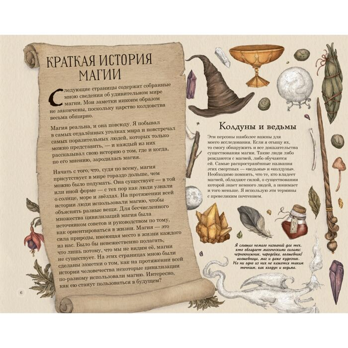 Энциклопедия Дэвид Поппи, Рокс Джессика Секретный мир магии купить,NaN