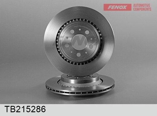 Диски FENOX задние TB215286 купить,65890