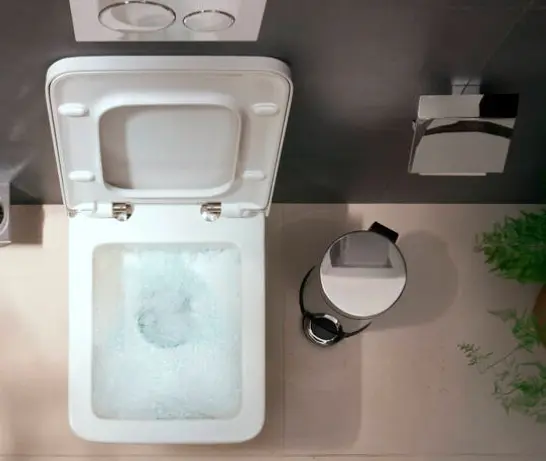 Мусорное ведро Hansgrohe с крышкой White House Hansgrohe AddStoris 41775000 3 л