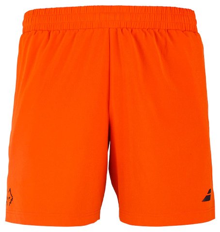 Спортивные шорты Babolat мультиколор купить,24900