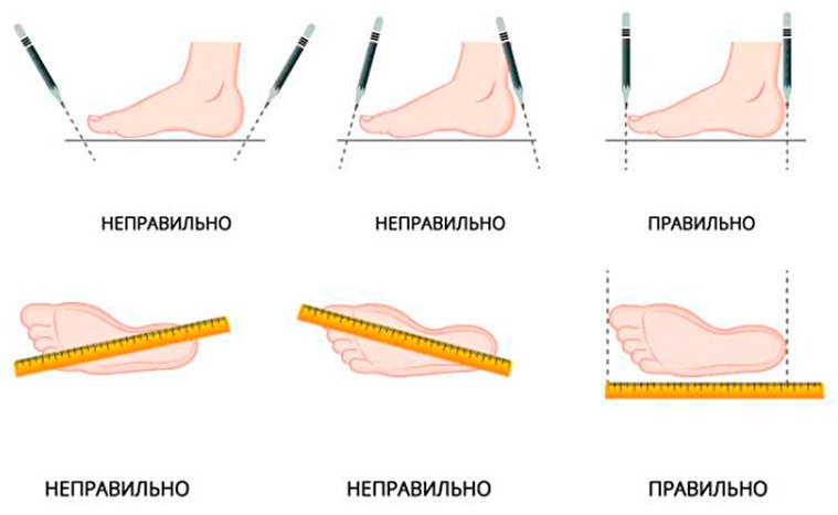 Кроссовки Scott мультиколор