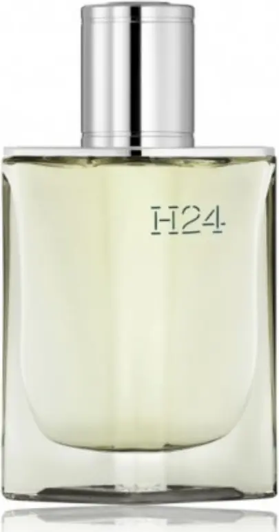 Hermes H24 парфюмерная вода EDP 50 мл, для мужчин купить,42790