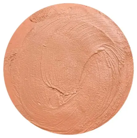 Пудра Face Nicobaggio Cream Powder кремовая 102 темно-бежевый купить,NaN