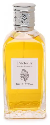 ETRO Patchouly туалетная вода EDT 100 мл, унисекс купить,70300