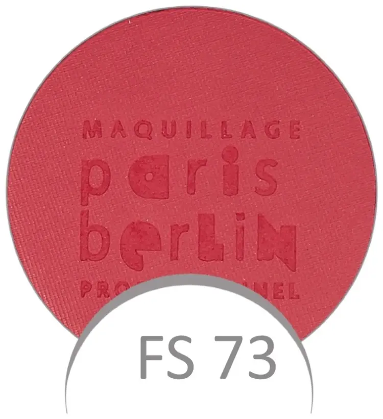 Paris Berlin тени прессованные Compact Powder Shadow FS73 купить,NaN