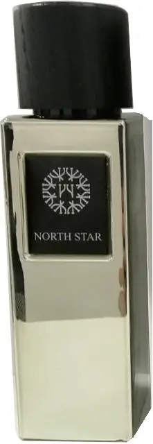 The Woods Collection North Star парфюмерная вода EDP 100 мл, унисекс - ForteMarket The Woods Collection North Star парфюмерная вода EDP 100 мл, унисекс купить,105000