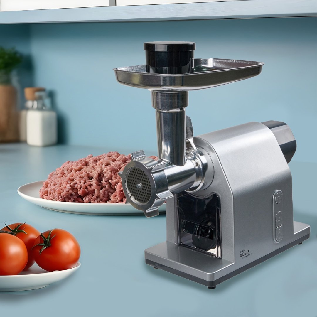 Мясорубка Oasis MG-DM2 серебристый - ForteMarket Мясорубка Oasis MG-DM2 серебристый купить,0