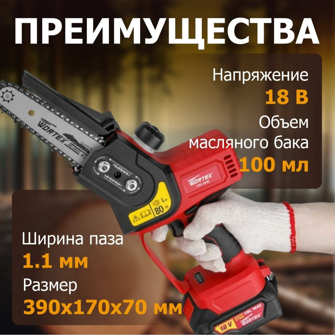Цепная пила WORTEX аккумуляторная CEC 2518 ALL1 Solo 0323166 купить,NaN