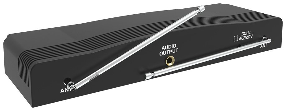 Микрофон Ritmix RWM-220 черный купить,NaN
