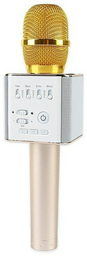 Микрофон Sound Wave SoundWave Q9