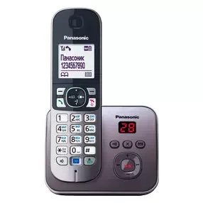 Радиотелефон Panasonic KX-TG 6821RUM Silver