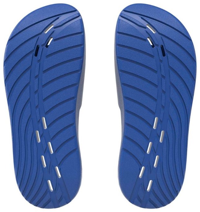 Шлепанцы Speedo синий