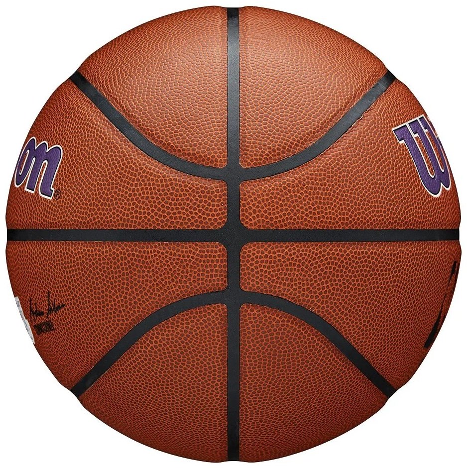 Мяч Wilson NBA Team Alliance LA Lakers WTB3100XBLAL для баскетбола размер 7