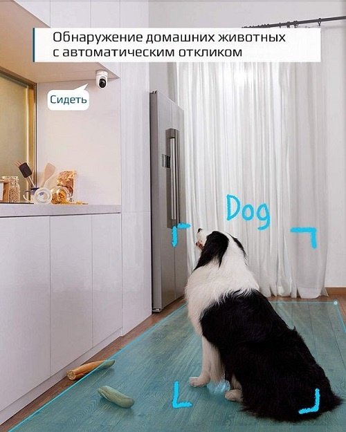 Eufy Indoor Cam 2K P&T T8410 (T8410322) White - ForteMarket Eufy Indoor Cam 2K P&T T8410 (T8410322) White купить,0