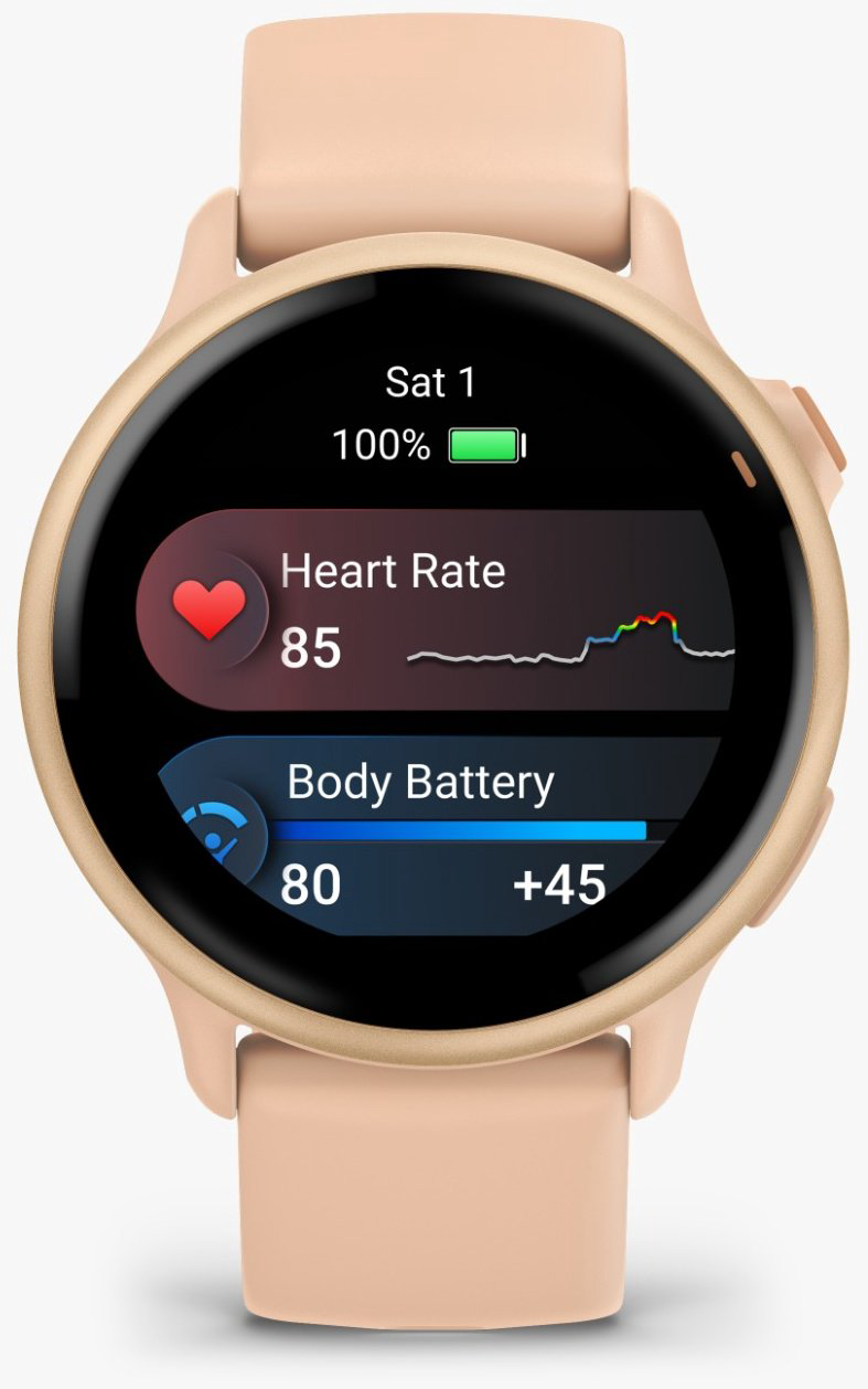 Смарт-часы Garmin Vivoactive 6 42 мм розовое золото-золотистый - ForteMarket Смарт-часы Garmin Vivoactive 6 42 мм розовое золото-золотистый купить,205355