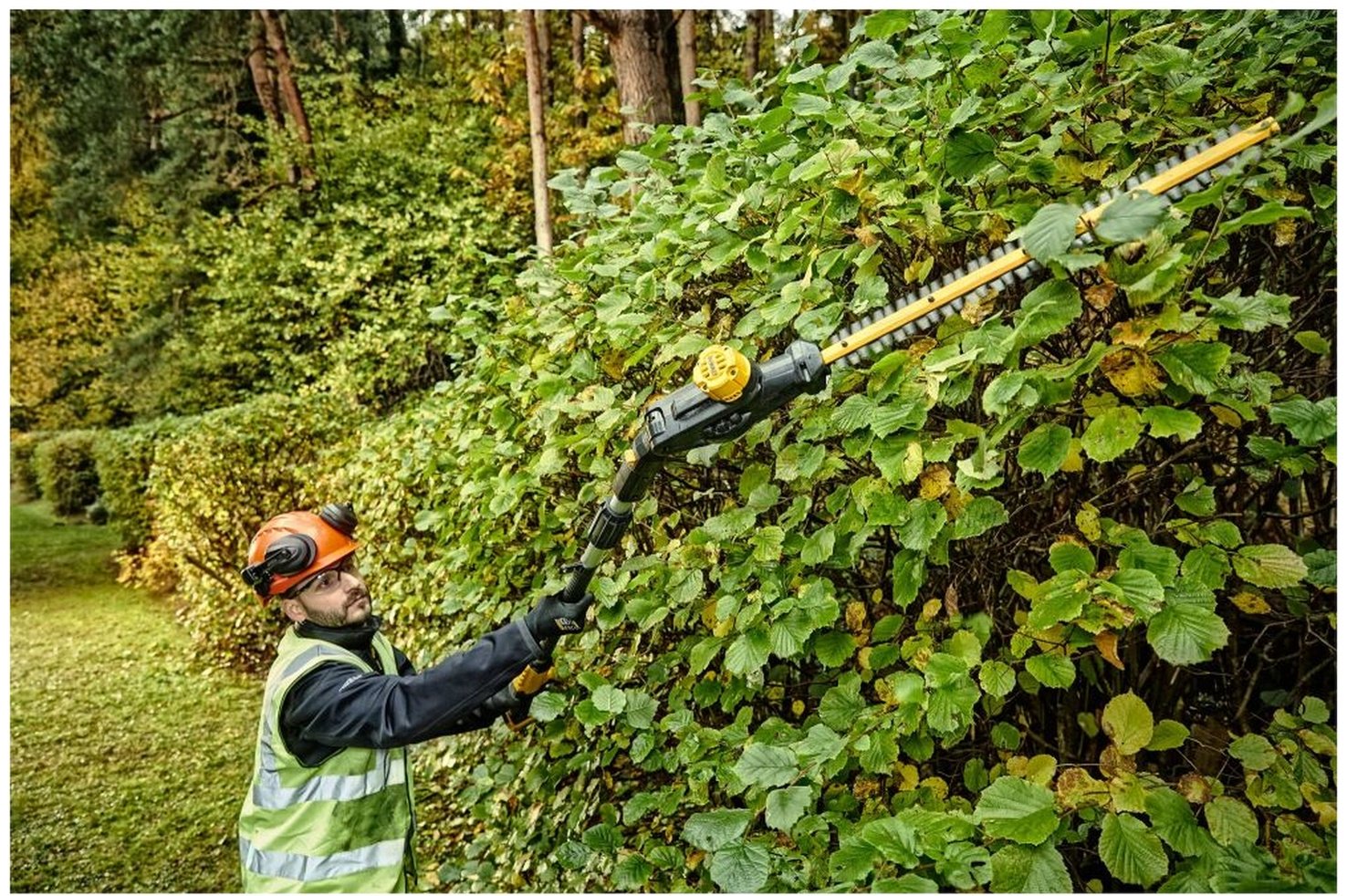 Кусторез DeWALT DCMPH566P1-QW купить,0