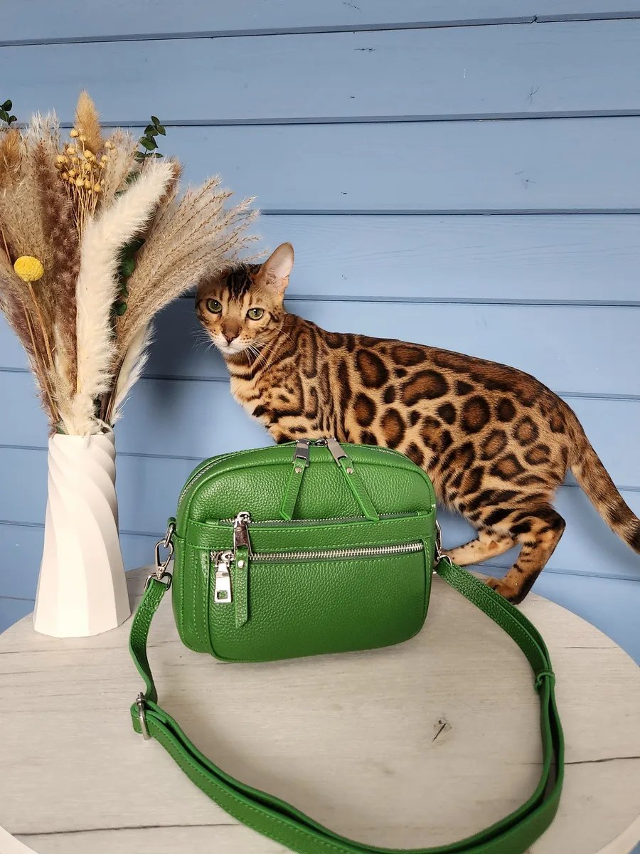 Сумка кросс-боди FEELBAGS натуральная кожа зеленый купить,NaN