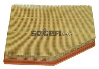 FRAM Воздушный Фильтр CA10022 купить,NaN