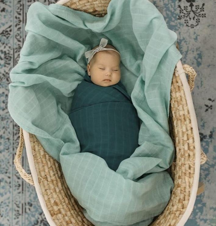 Пеленка текстильная Tommy Lise Dreamy Green (701315), 1 шт, 120x120 см купить,0