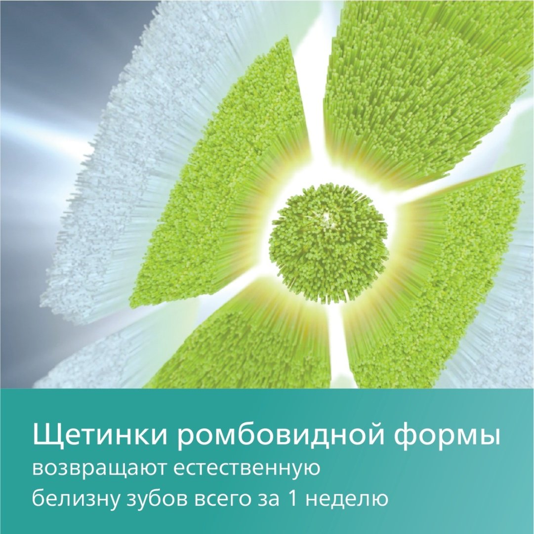 Насадка Philips HX6068/12 стандартная 8 шт - ForteMarket Насадка Philips HX6068/12 стандартная 8 шт купить,0