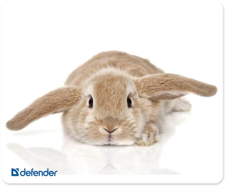 Коврик для мыши Defender Silk белый купить,NaN