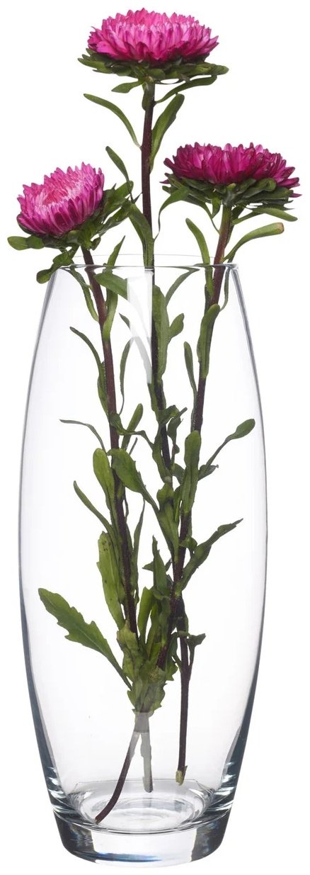 Pasabahce ваза 26 см Flora 43966, стекло - ForteMarket Pasabahce ваза 26 см Flora 43966, стекло купить,0