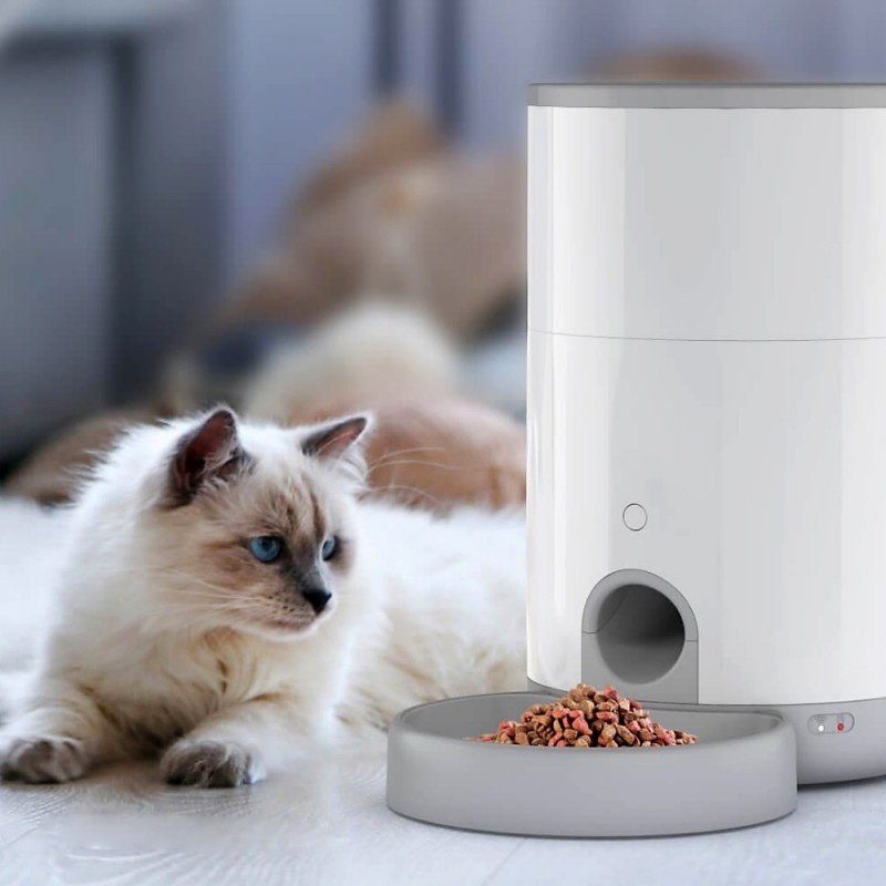 Xiaomi FDW040- M 260 мл белый - ForteMarket Xiaomi FDW040- M 260 мл белый купить,0