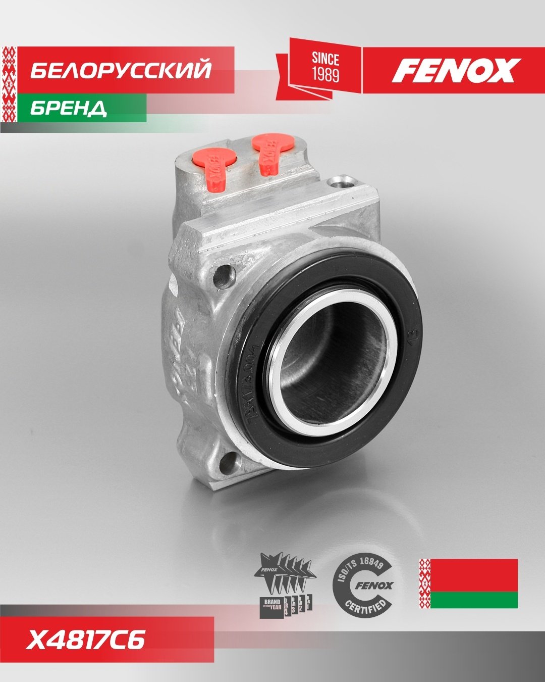 FENOX тормозной цилиндр X4817C6 купить,5529