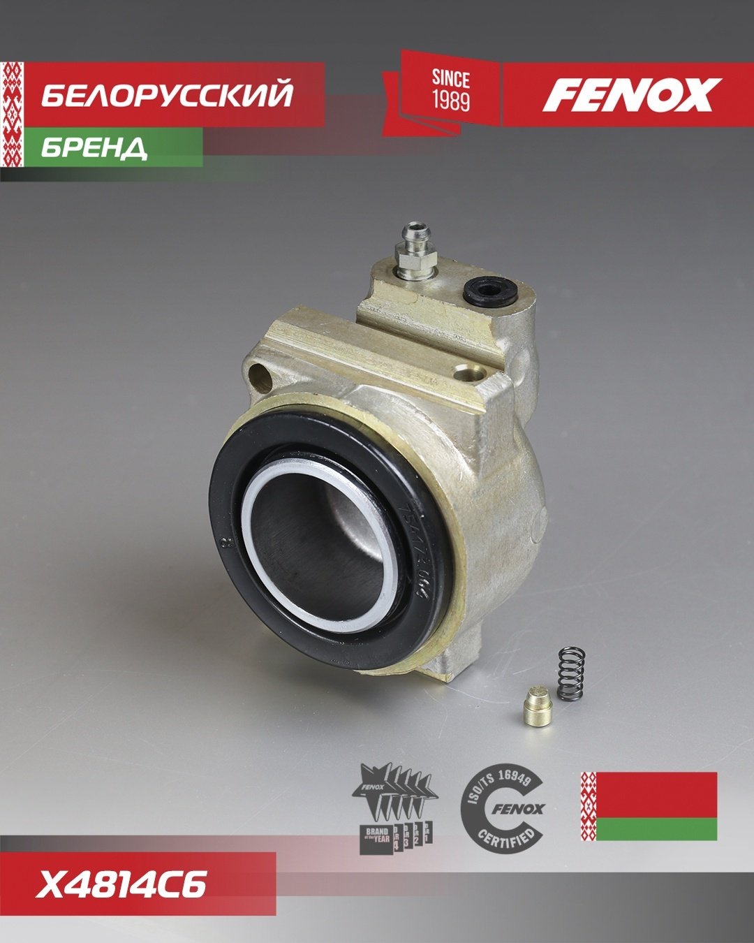 FENOX тормозной цилиндр X4814C6 купить,5579