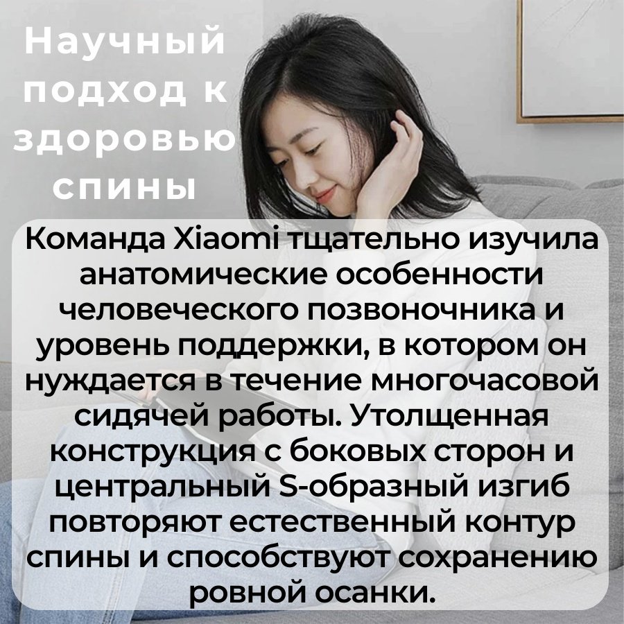 Подушка для спины Xiaomi 15x35 см, полиэстер - ForteMarket Подушка для спины Xiaomi 15x35 см, полиэстер купить,0