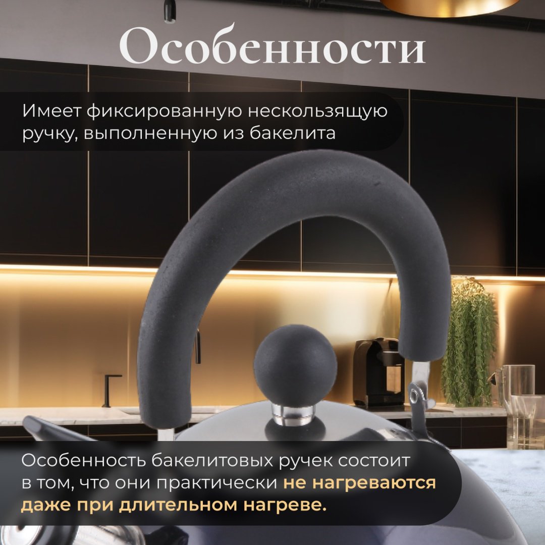 PERFECTO LINEA чайник 52-121516 2.5 л, нержавеющая сталь купить,NaN