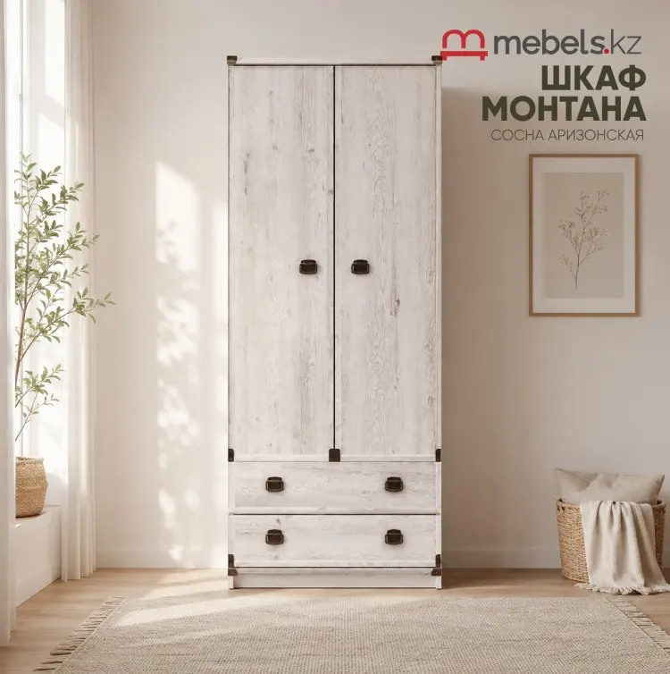 Распашной шкаф Mebels.kz Монтана, 80x196х57 см, светло серый купить,NaN