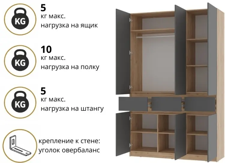 Распашной шкаф BTS Багира, 150.2x238.4х51 см, графит, коричневый купить,NaN