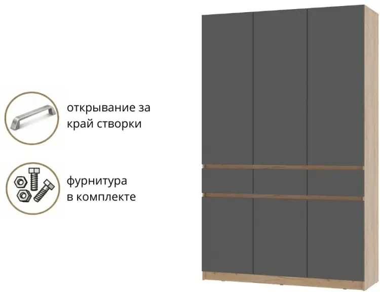Распашной шкаф BTS Багира, 150.2x238.4х51 см, графит, коричневый купить,NaN