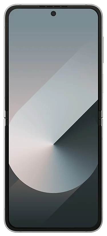 Смартфон Samsung Galaxy Z Flip6 12/256GB SM-F741BZSGSKZ Silver Shadow купить,0