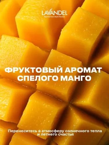 Жидкое мыло туалетное Lavandel Мыло-мусс Манговый сорбет 500 мл купить,NaN