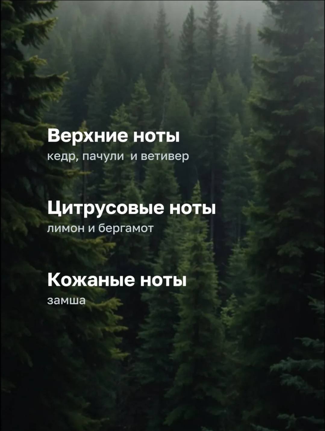 Touch for you Парфюмированный 3 в 1 TAIGA LEGEND гель-шампунь 500 мл купить,NaN
