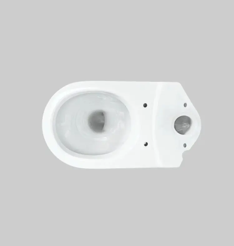 Sanita Luxe унитаз-компакт Art Comfort WC.CC/Art/2-DM/WHT.G/S1, санфарфор