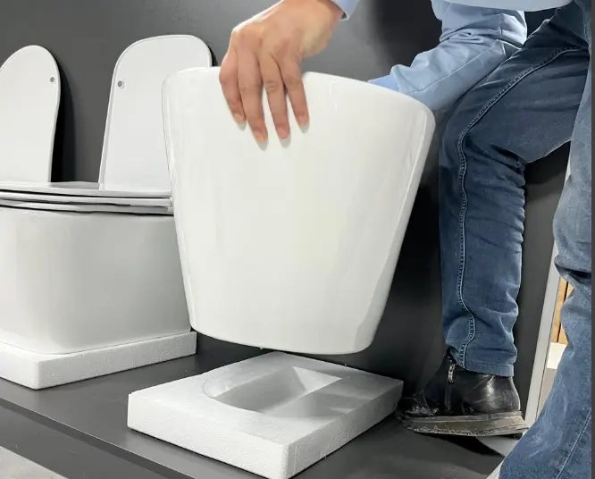 Grohe унитаз с инсталляцией 38772001+Gerz Торнадо , санфаянс