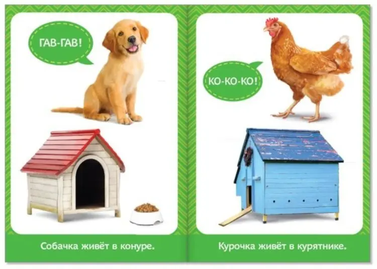 Книга Развивающие книги для детей от рождения до года купить,NaN
