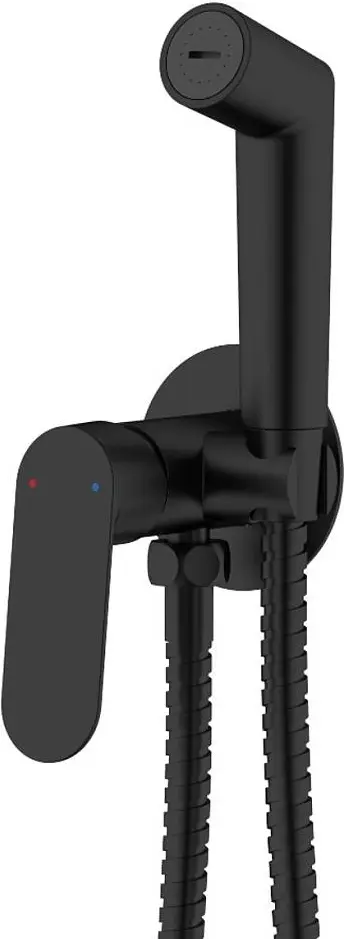VODA гигиенический душ Shore SHR01B, нержавеющая сталь купить,NaN