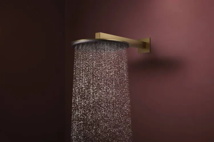 Hansgrohe верхний душ Raindance Alive S 300 1jet 24520140