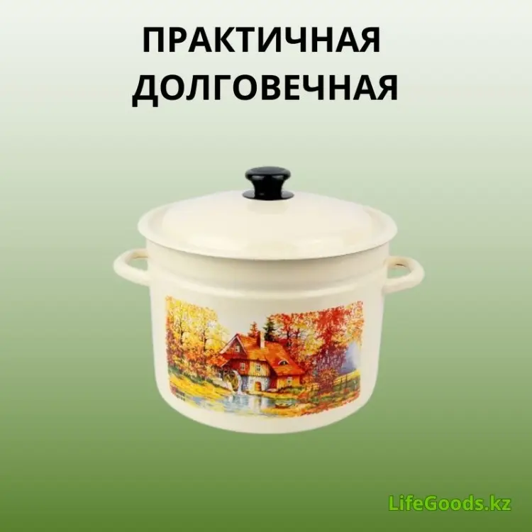 Кастрюля 5 л, LifeGoods.kz LG56154 нержавеющая сталь купить,NaN