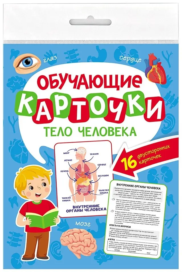 Карточки Тело человека купить,NaN