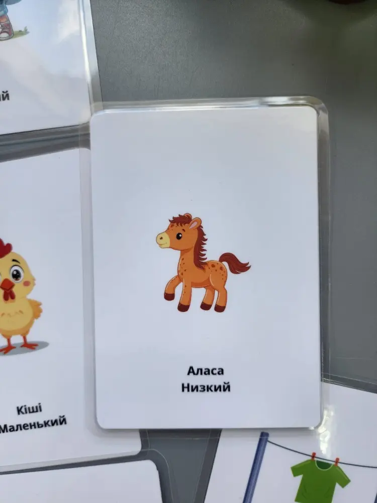 Обучающий набор Обучающий набор Карточки на двух языках Антонимы купить,NaN