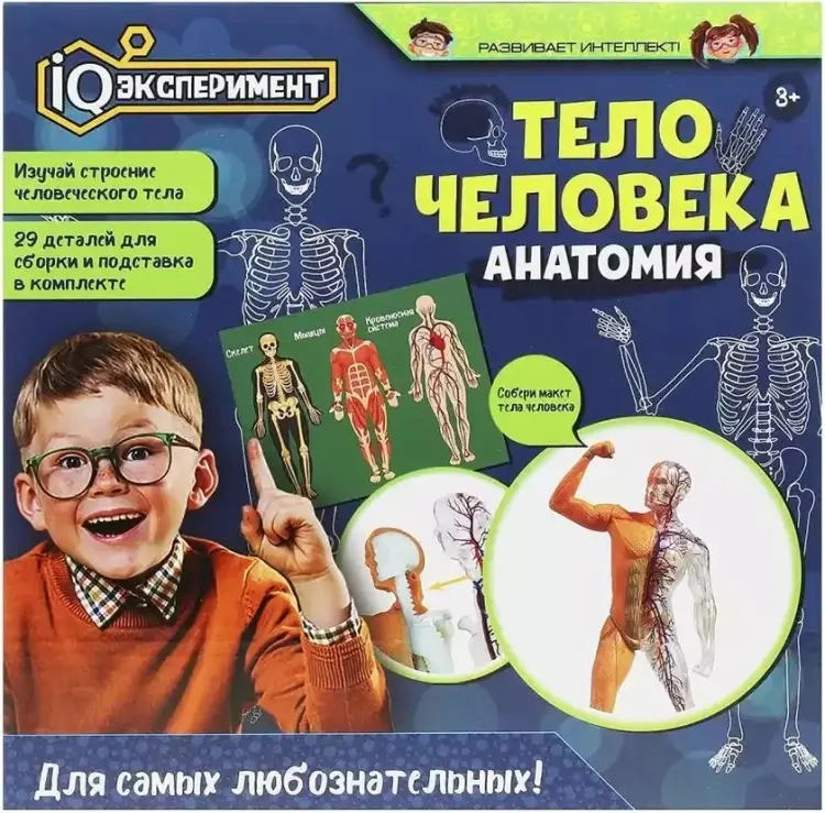Наблюдение Тело человека A365-H24040-R купить,NaN