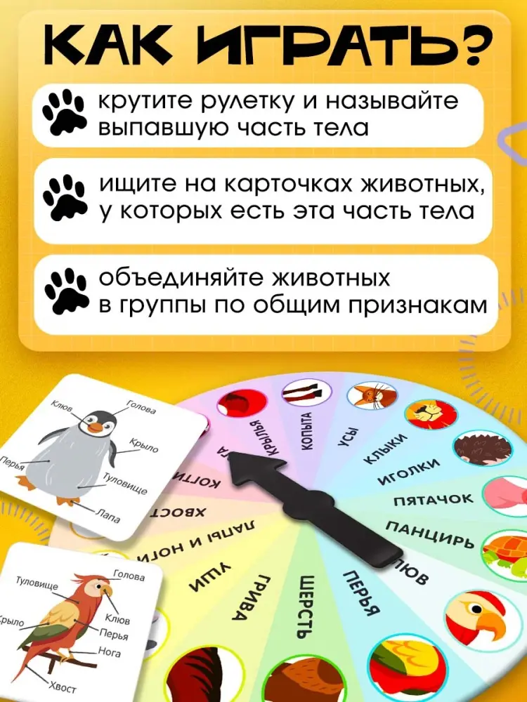 Обучающий набор IQ-ZABIAKA Изучаем животных купить,NaN